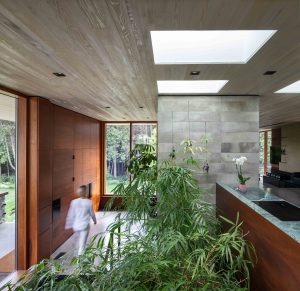 Modern Custom Home with Indoor Bamboo Garden and Skylights